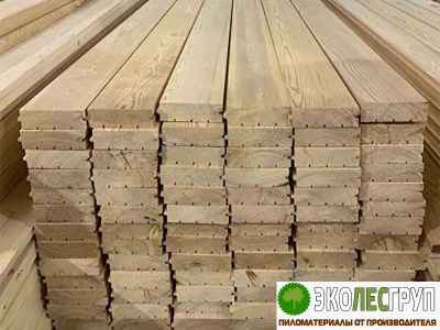 pol-list-ekstra-35x9543